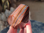 Polished Banded Tiger Iron Points x 2 From Northern Cape, South Africa - Toprock Gemstones and Minerals 