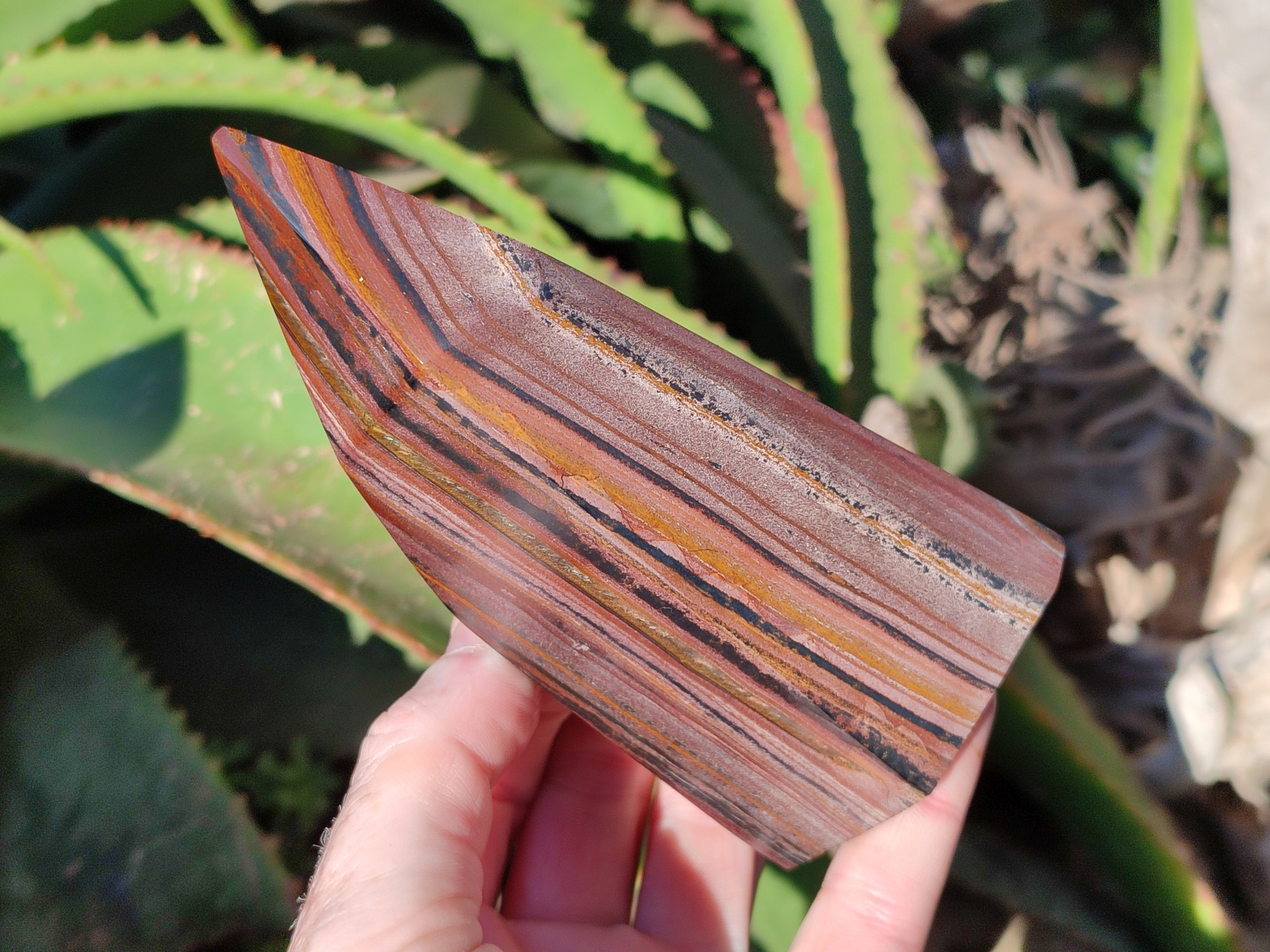 Polished Banded Tiger Iron Points x 2 From Northern Cape, South Africa - Toprock Gemstones and Minerals 