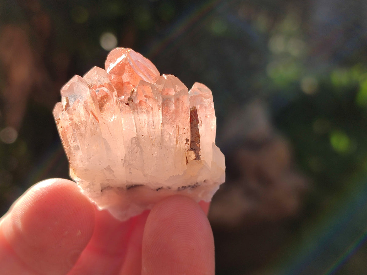 Natural Mixed selection of Minerals x 2.62 Kg Lot From Southern Africa - Toprock Gemstones and Minerals 