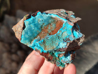Natural Drusy Coated Chrysocolla with Copper, Heterogenite x 2 From Lupoto Mine, Congo