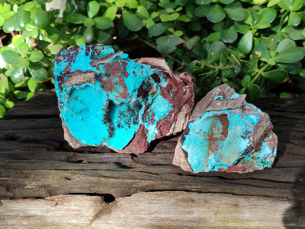 Natural Drusy Coated Chrysocolla with Copper, Heterogenite x 2 From Lupoto Mine, Congo