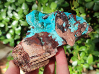 Natural Drusy Coated Chrysocolla with Copper, Heterogenite x 2 From Lupoto Mine, Congo