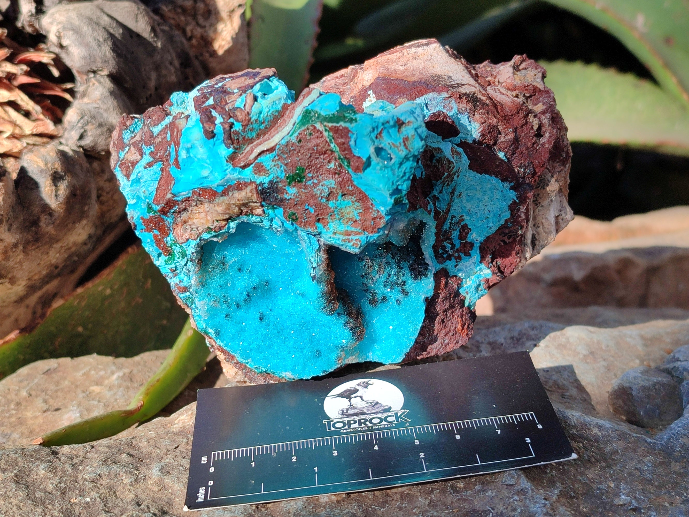 Natural Drusy Coated Chrysocolla with Copper, Heterogenite x 2 From Lupoto Mine, Congo - Toprock Gemstones and Minerals 