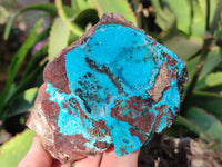 Natural Drusy Coated Chrysocolla with Copper, Heterogenite x 2 From Lupoto Mine, Congo