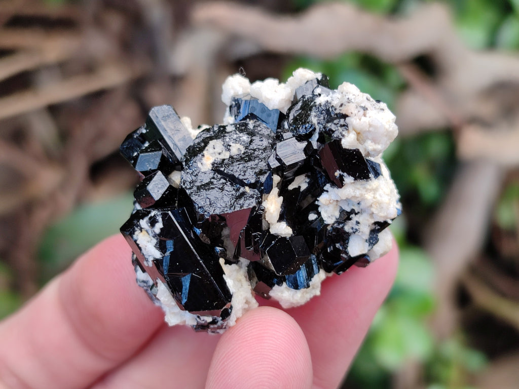 Natural Schorl Black Tourmaline with Hyalite Opal x 35 From Erongo, Namibia - Toprock Gemstones and Minerals 