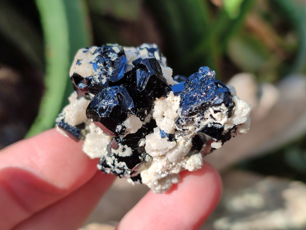 Natural Schorl Black Tourmaline with Hyalite Opal x 35 From Erongo, Namibia - Toprock Gemstones and Minerals 