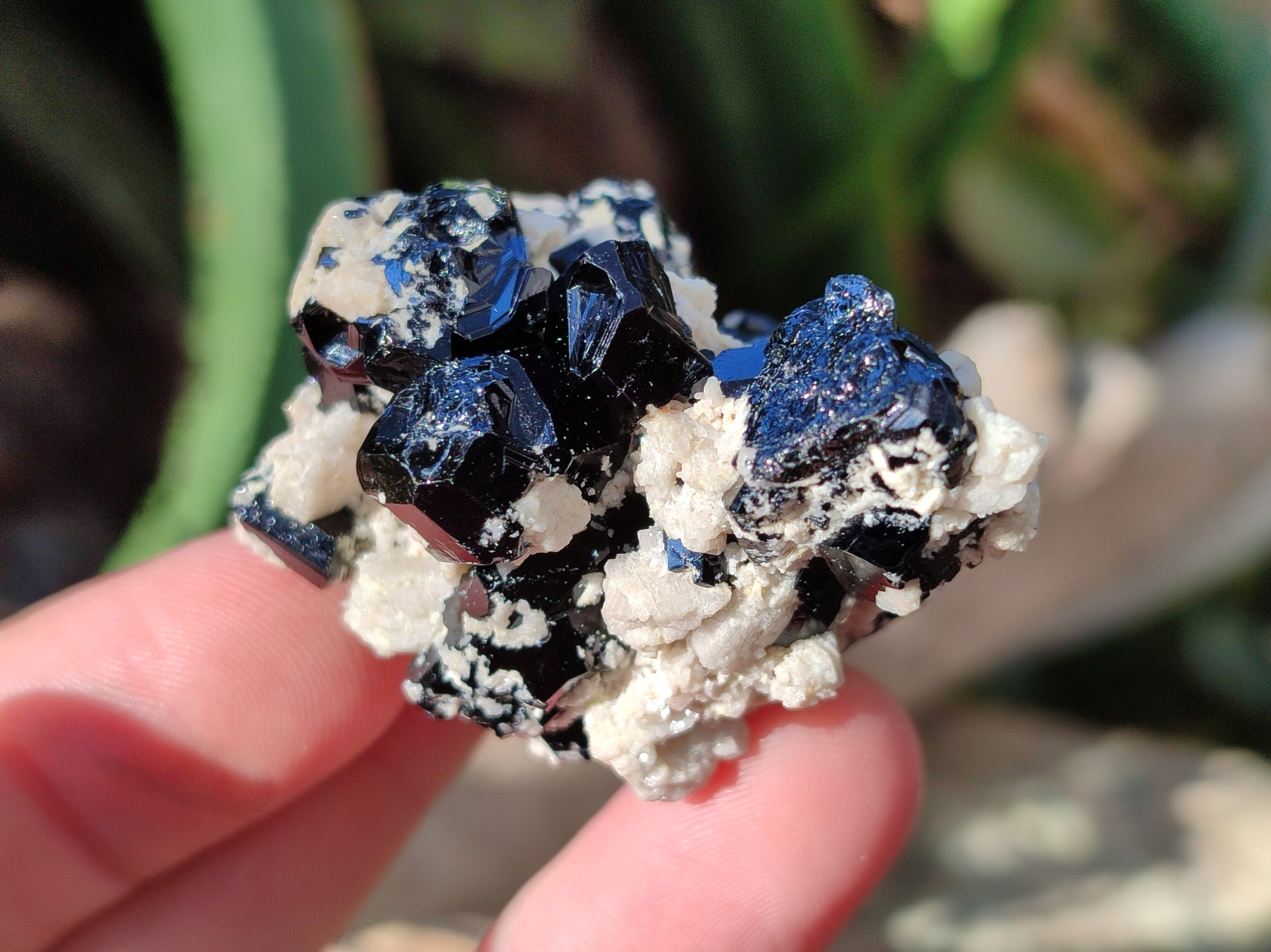 Natural Schorl Black Tourmaline with Hyalite Opal x 35 From Erongo, Namibia - Toprock Gemstones and Minerals 