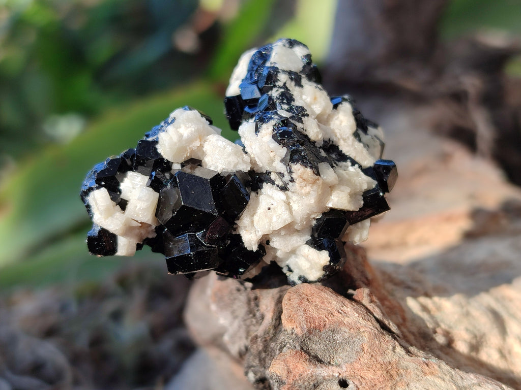 Natural Schorl Black Tourmaline with Hyalite Opal x 35 From Erongo, Namibia - Toprock Gemstones and Minerals 