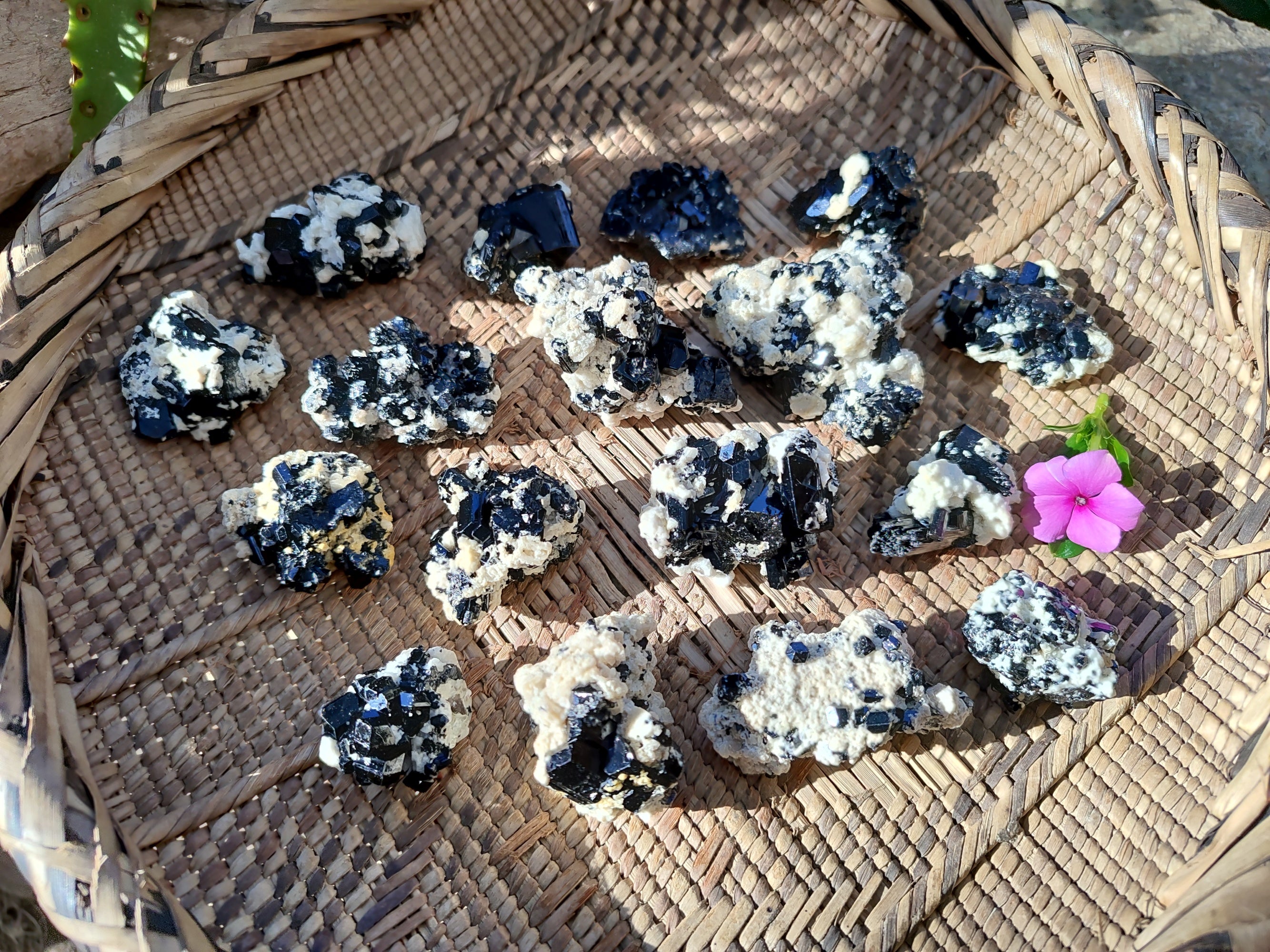 Natural Schorl Black Tourmaline with Hyalite Opal x 35 From Erongo, Namibia - Toprock Gemstones and Minerals 