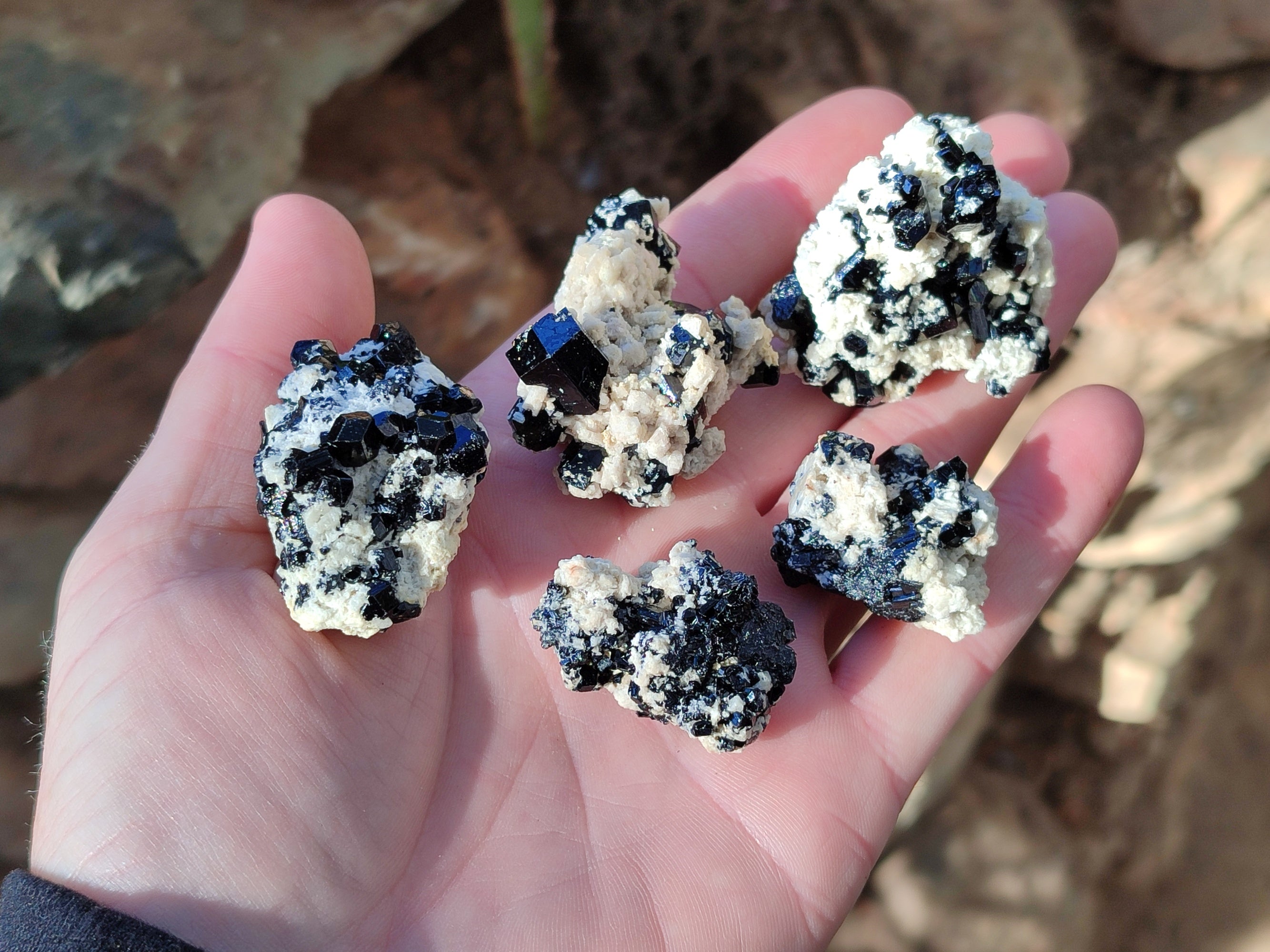 Natural Schorl Black Tourmaline with Hyalite Opal x 35 From Erongo, Namibia - Toprock Gemstones and Minerals 
