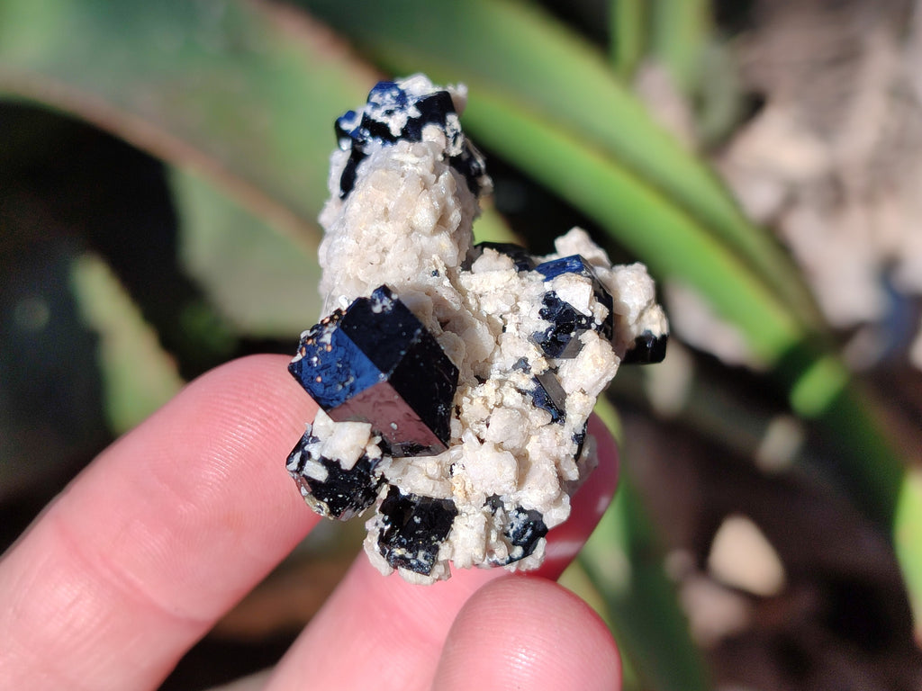 Natural Schorl Black Tourmaline with Hyalite Opal x 35 From Erongo, Namibia - Toprock Gemstones and Minerals 