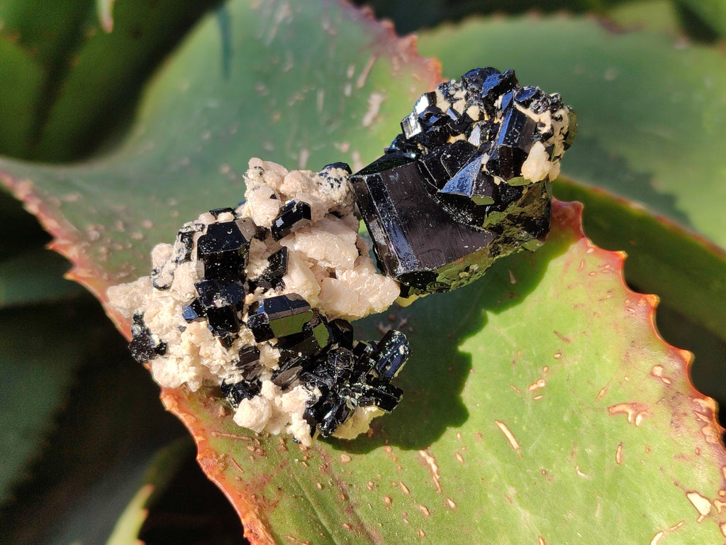 Natural Schorl Black Tourmaline with Hyalite Opal x 35 From Erongo, Namibia - Toprock Gemstones and Minerals 
