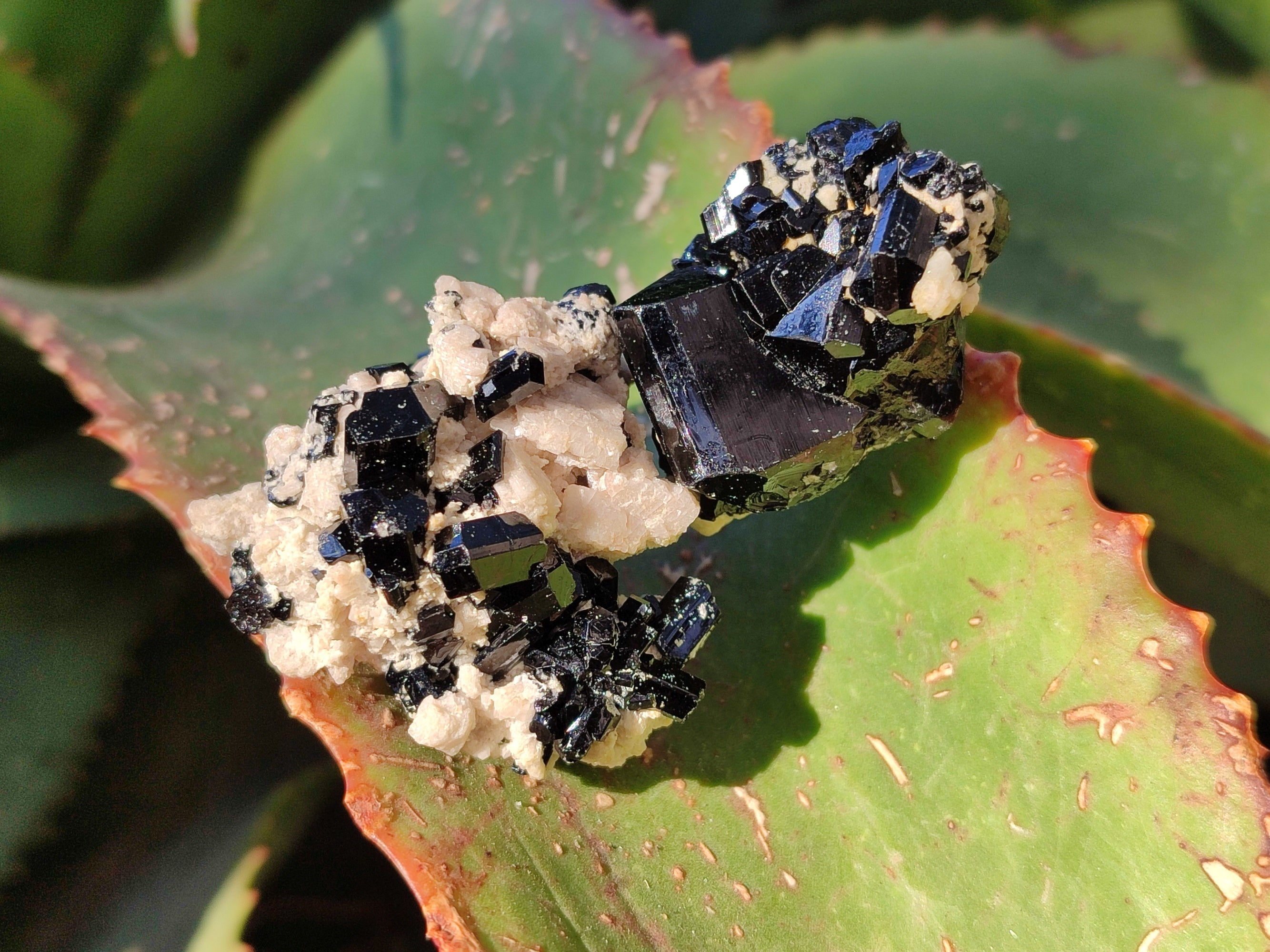 Natural Schorl Black Tourmaline with Hyalite Opal x 35 From Erongo, Namibia - Toprock Gemstones and Minerals 