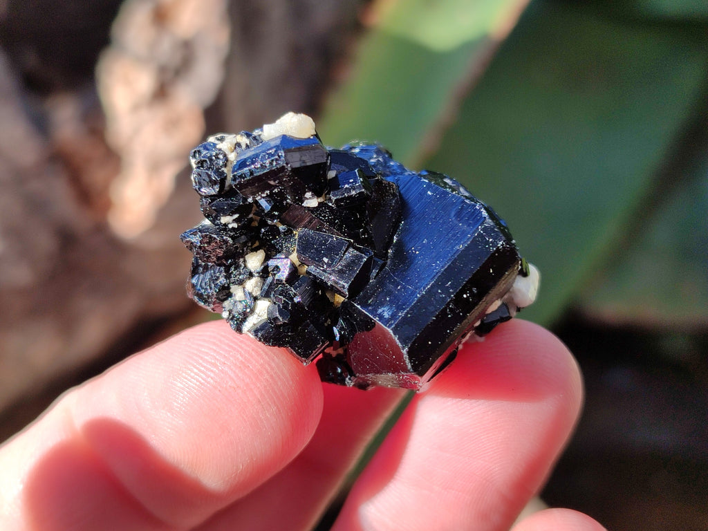 Natural Schorl Black Tourmaline with Hyalite Opal x 35 From Erongo, Namibia - Toprock Gemstones and Minerals 