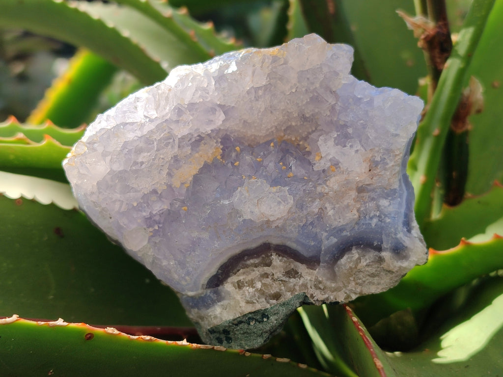 Natural Blue Lace Agate Geode Specimens x 6 From Nsanje, Malawi - Toprock Gemstones and Minerals 