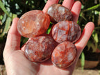 Polished Red Hematoid Quartz Palm Stones x 20 From Madagascar - Toprock Gemstones and Minerals 
