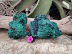 Natural Silky Malachite Specimens x 2 From Kasompe, Congo - Toprock Gemstones and Minerals 