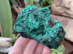 Natural Silky Malachite Specimens x 2 From Kasompe, Congo - Toprock Gemstones and Minerals 