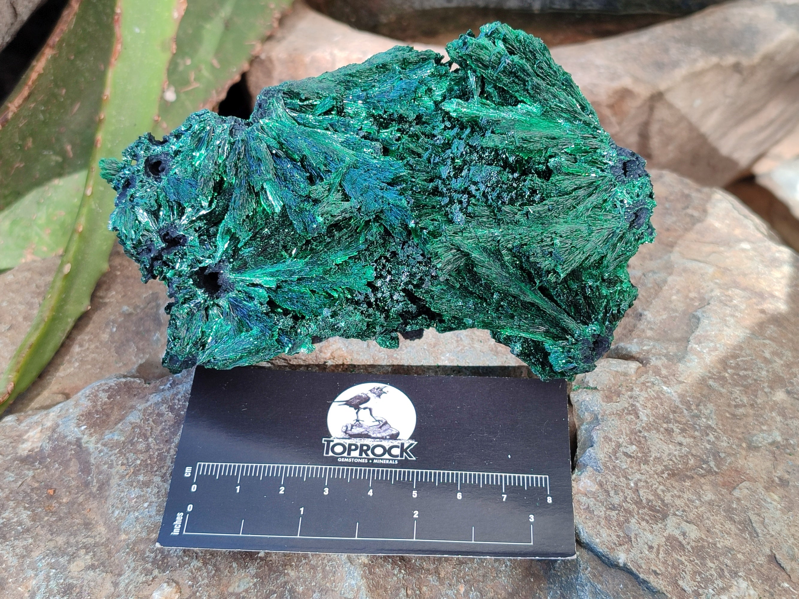 Natural Silky Malachite Specimens x 2 From Kasompe, Congo - Toprock Gemstones and Minerals 