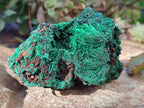 Natural Silky Malachite Specimens x 2 From Kasompe, Congo - Toprock Gemstones and Minerals 