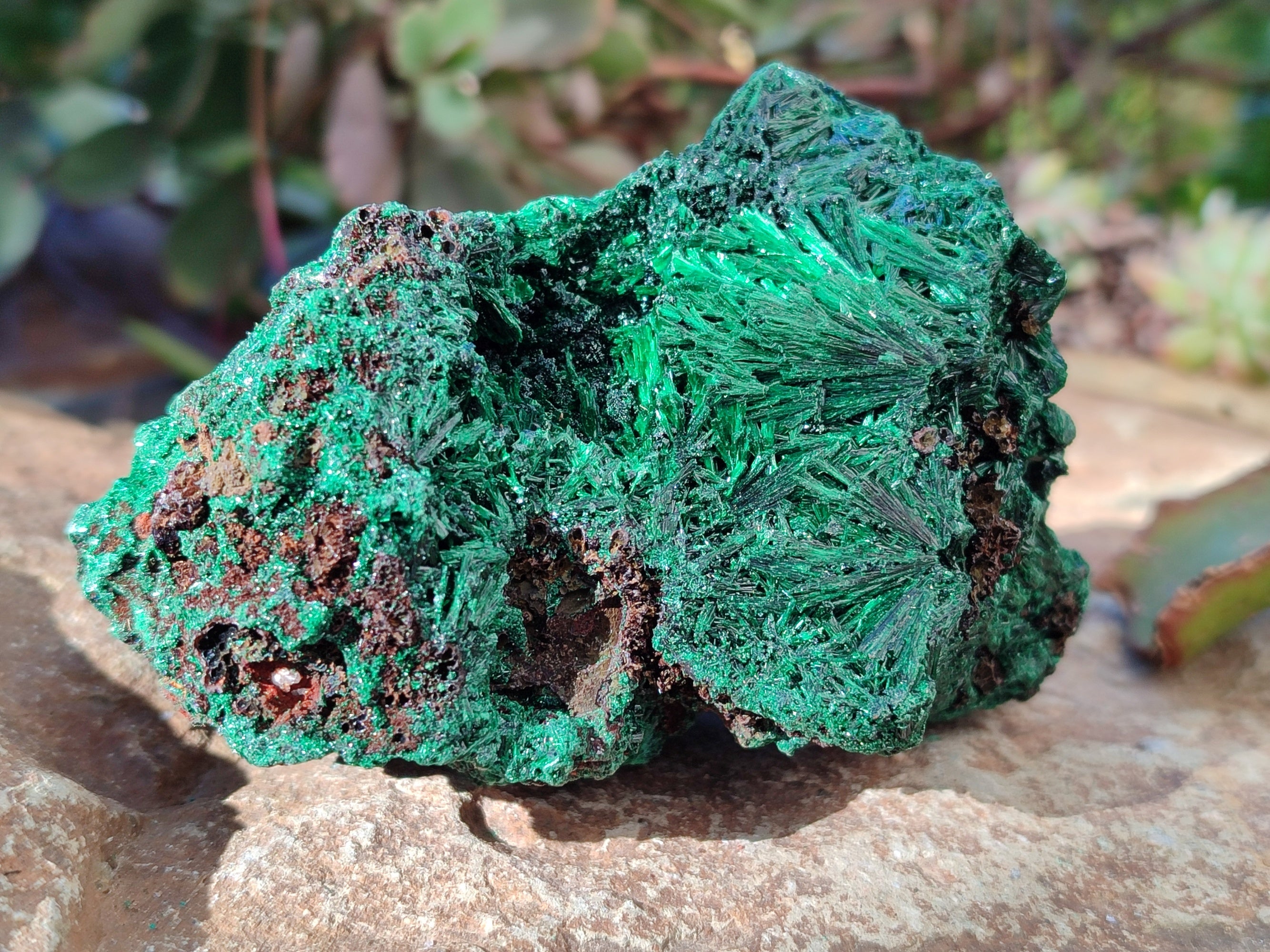 Natural Silky Malachite Specimens x 2 From Kasompe, Congo - Toprock Gemstones and Minerals 