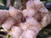 Natural Smokey Amethyst Spirit Quartz Clusters x 6 From Boekenhouthoek, South Africa - Toprock Gemstones and Minerals 