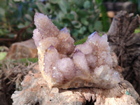 Natural Smokey Amethyst Spirit Quartz Clusters x 6 From Boekenhouthoek, South Africa - Toprock Gemstones and Minerals 