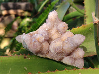 Natural Smokey Amethyst Spirit Quartz Clusters x 6 From Boekenhouthoek, South Africa - Toprock Gemstones and Minerals 