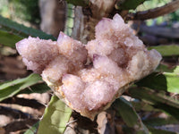 Natural Smokey Amethyst Spirit Quartz Clusters x 6 From Boekenhouthoek, South Africa - Toprock Gemstones and Minerals 