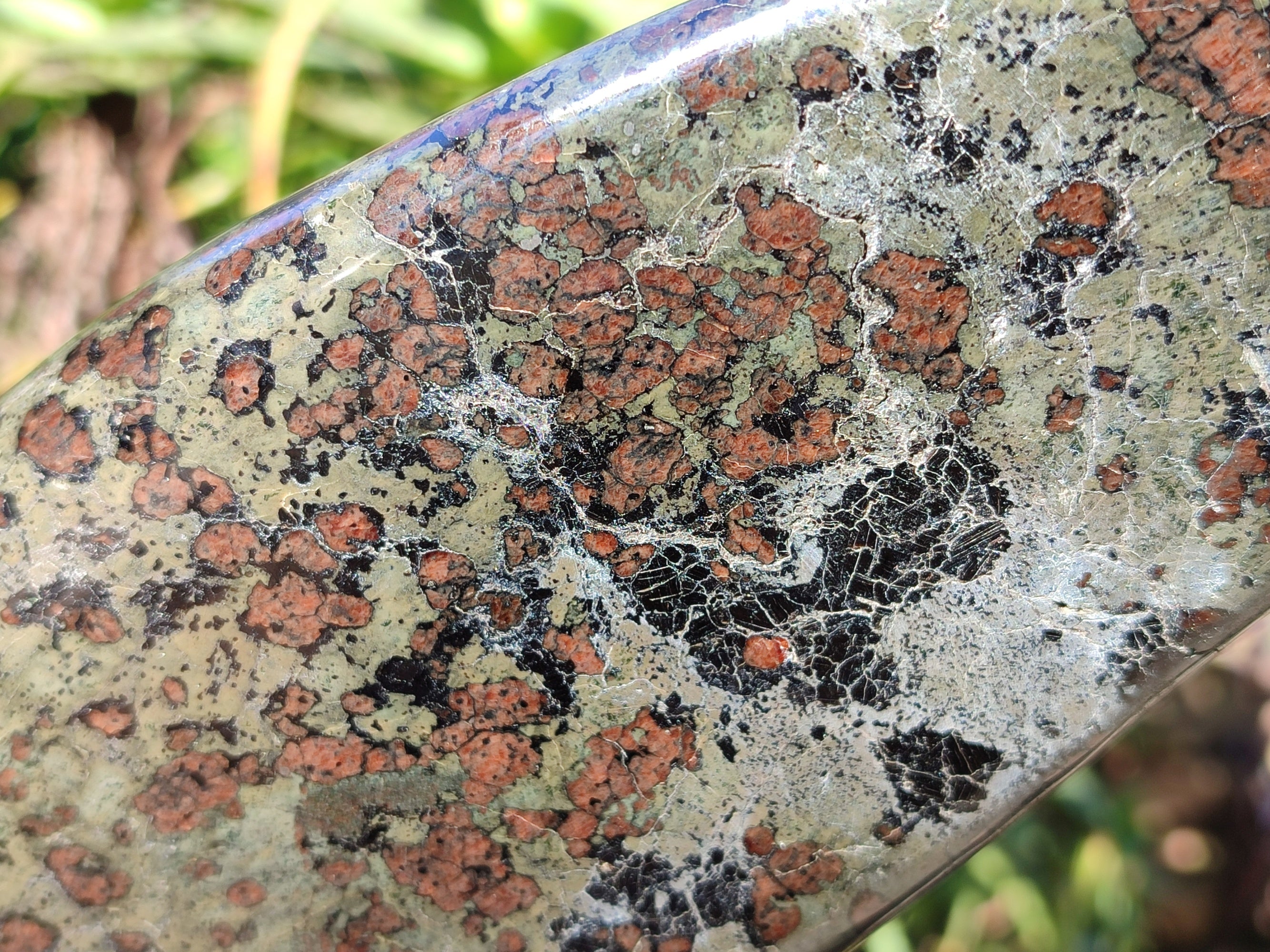Polished Eclogite Standing Free Forms x 1 From Northern Cape, South Africa - Toprock Gemstones and Minerals 