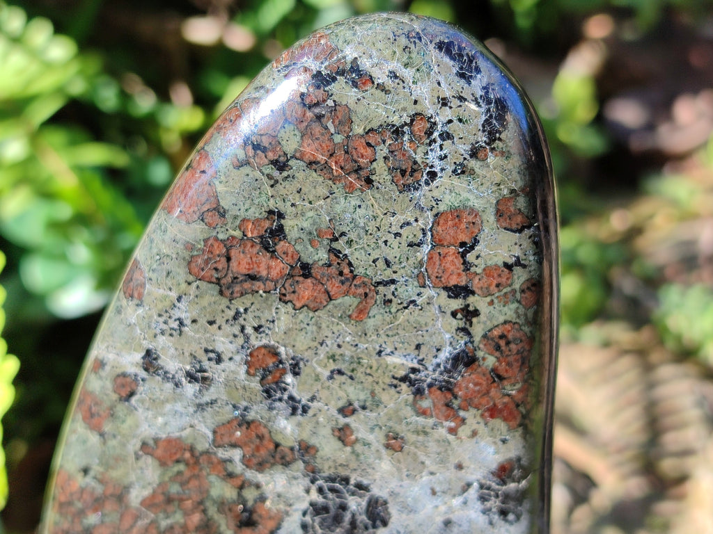 Polished Eclogite Standing Free Forms x 1 From Northern Cape, South Africa - Toprock Gemstones and Minerals 