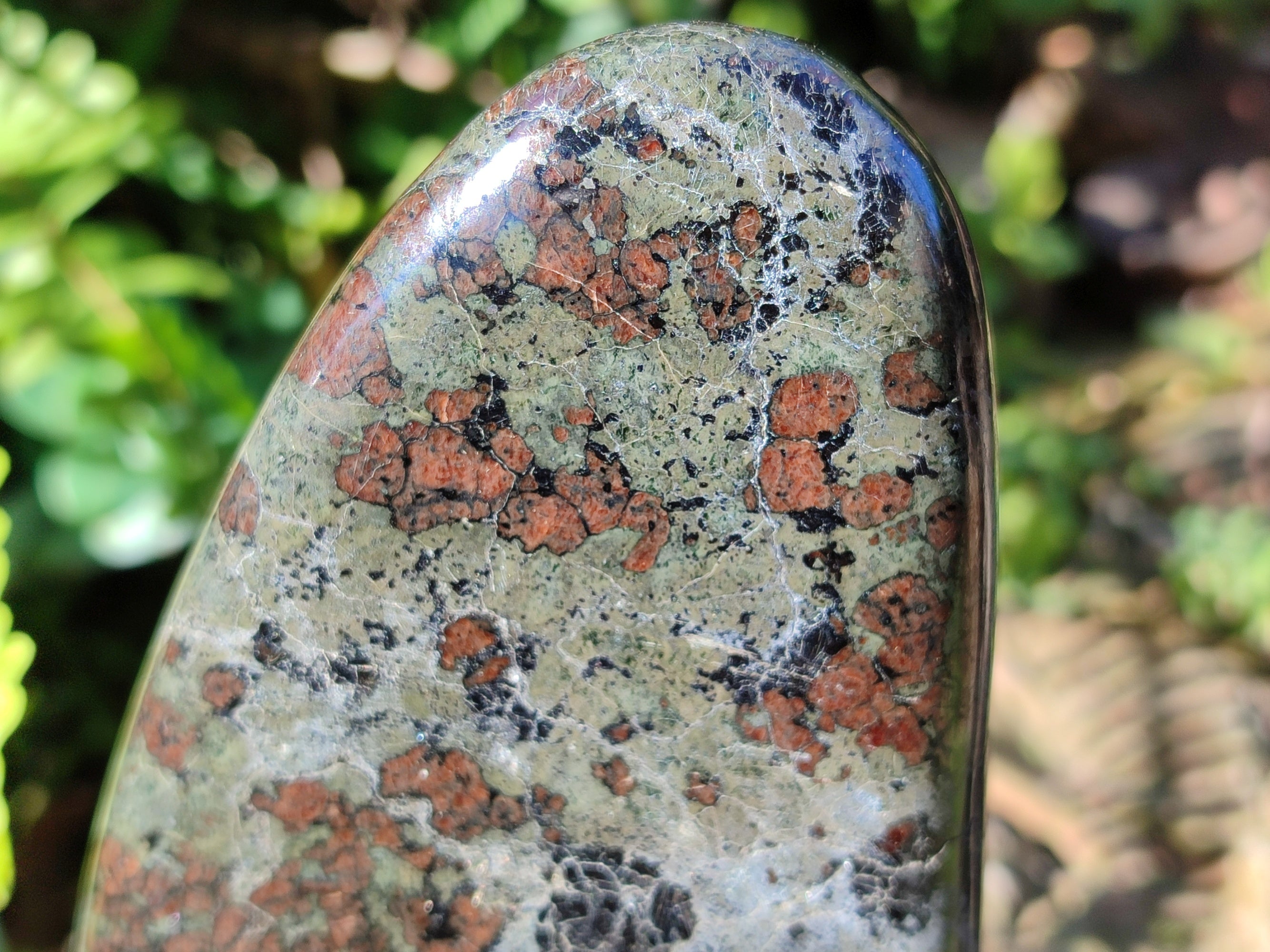 Polished Eclogite Standing Free Forms x 1 From Northern Cape, South Africa - Toprock Gemstones and Minerals 