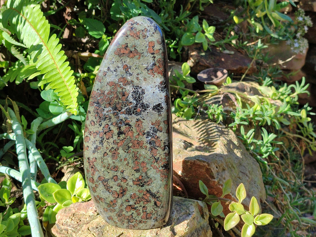 Polished Eclogite Standing Free Forms x 1 From Northern Cape, South Africa - Toprock Gemstones and Minerals 