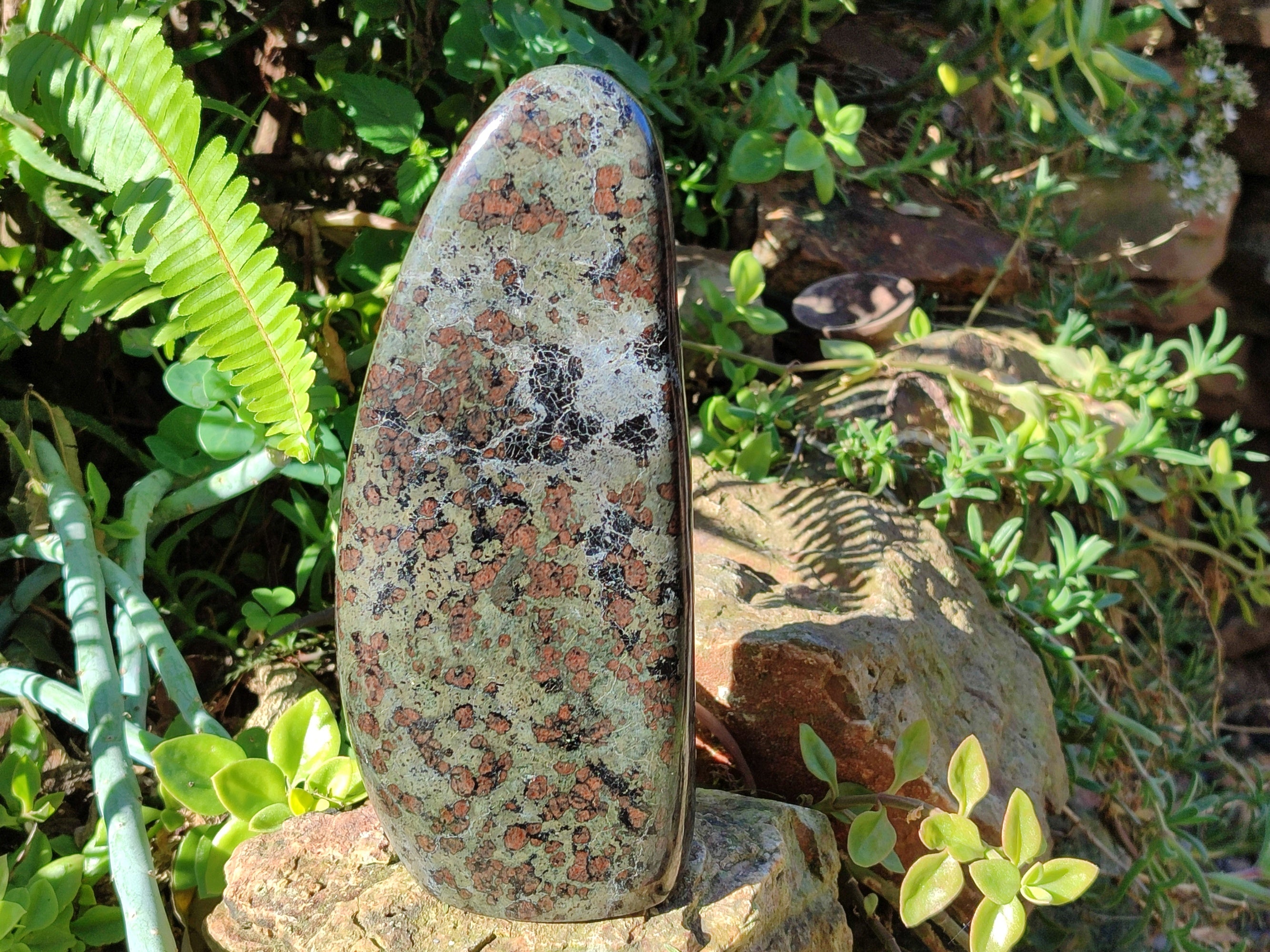 Polished Eclogite Standing Free Forms x 1 From Northern Cape, South Africa - Toprock Gemstones and Minerals 