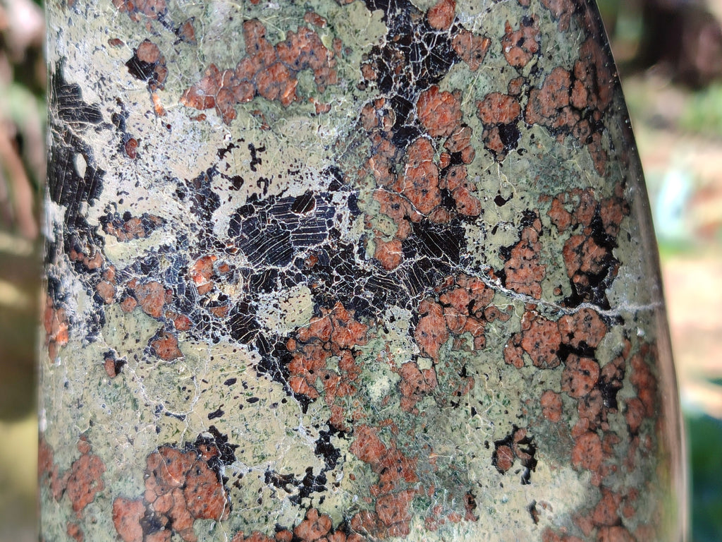 Polished Eclogite Standing Free Forms x 1 From Northern Cape, South Africa - Toprock Gemstones and Minerals 