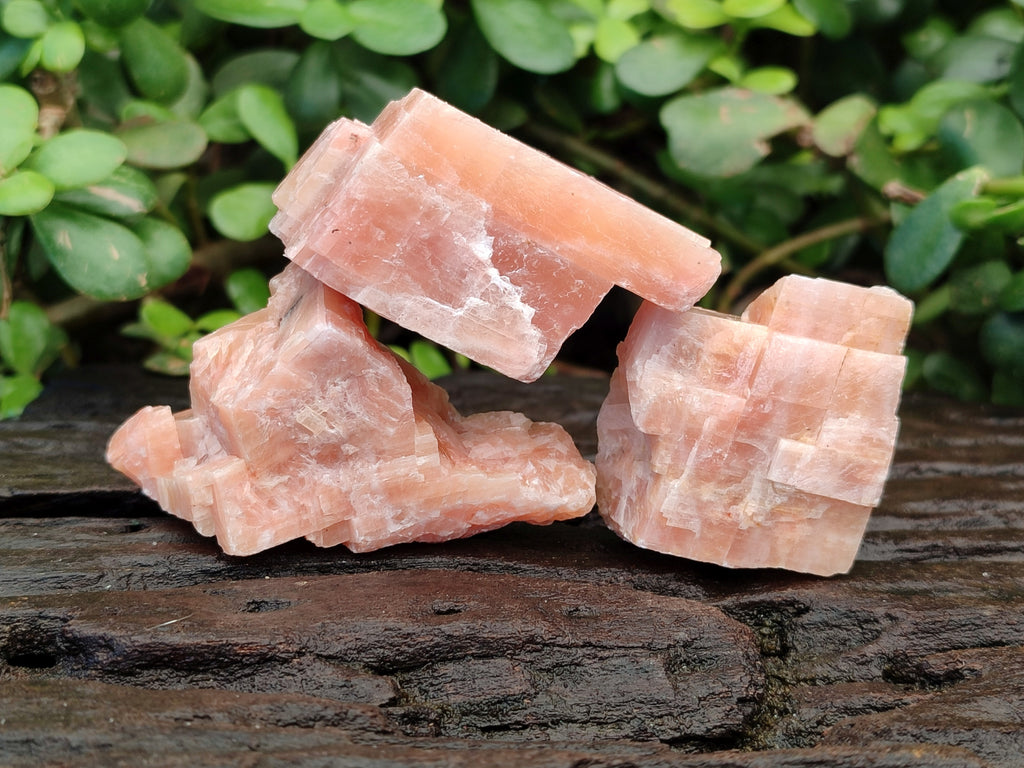 Natural Rhombohedral Sunset Orange Calcite Specimens x 24 From Spitzkop, Namibia - Toprock Gemstones and Minerals 