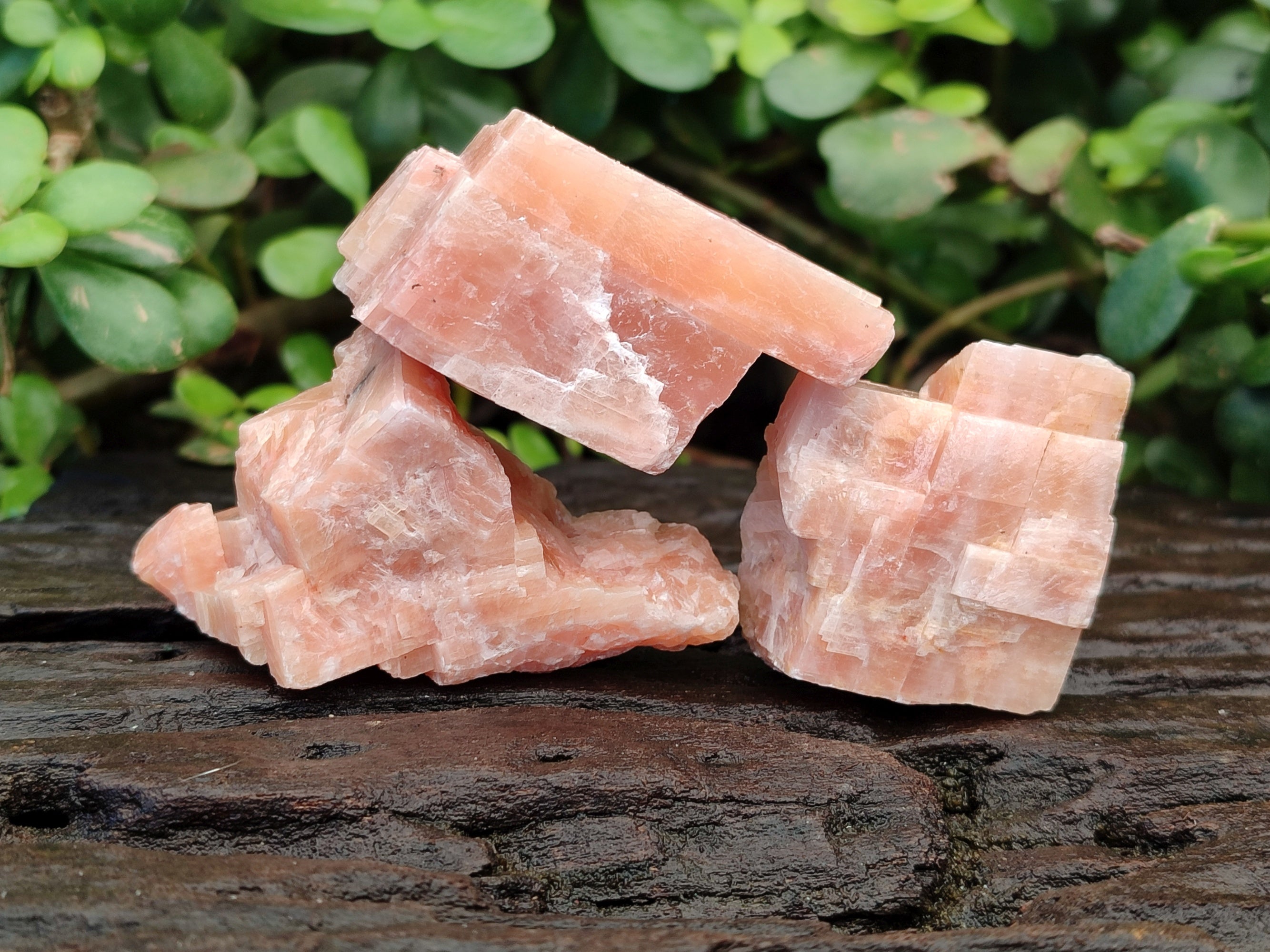 Natural Rhombohedral Sunset Orange Calcite Specimens x 24 From Spitzkop, Namibia - Toprock Gemstones and Minerals 