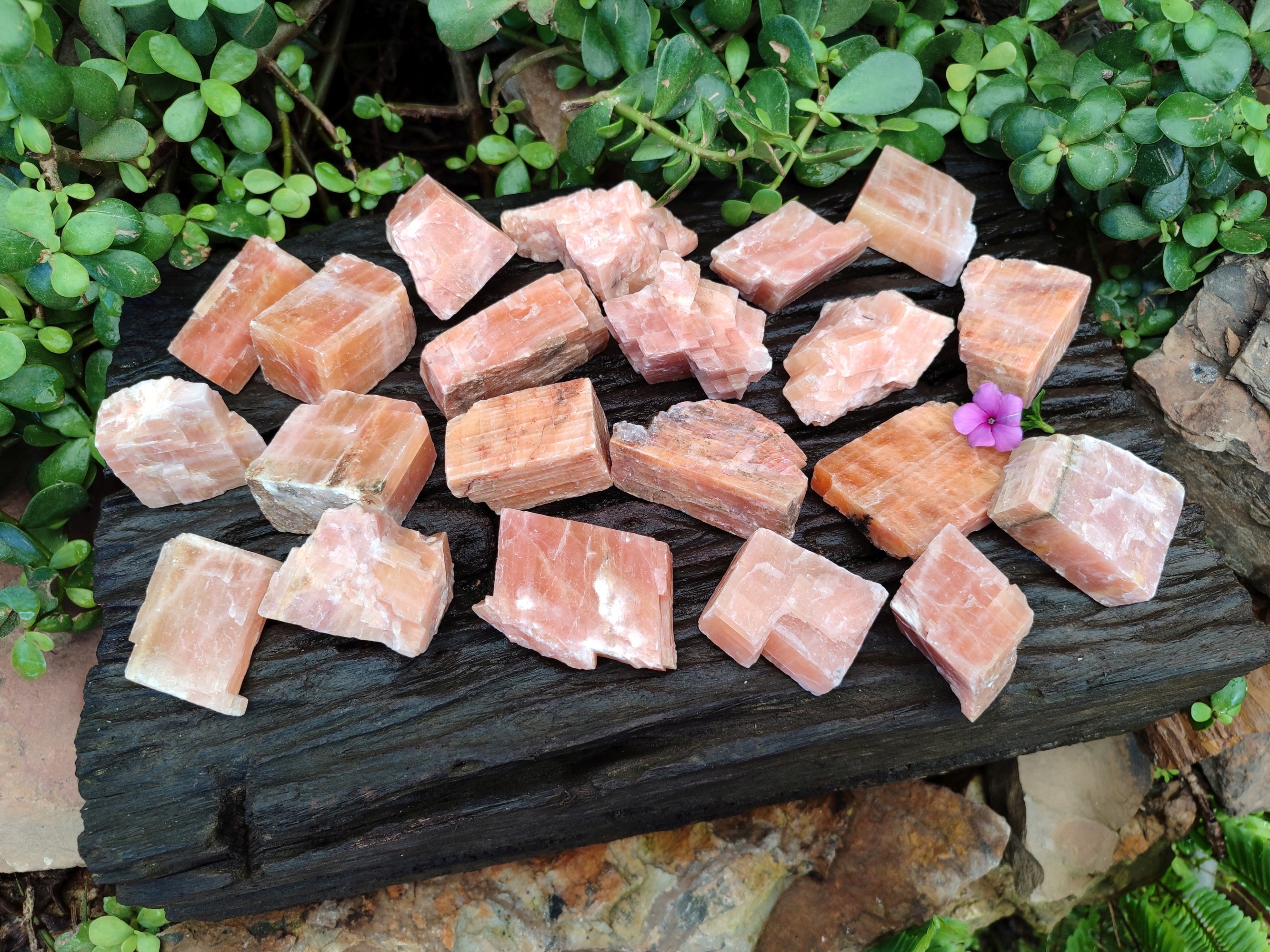 Natural Rhombohedral Sunset Orange Calcite Specimens x 24 From Spitzkop, Namibia - Toprock Gemstones and Minerals 