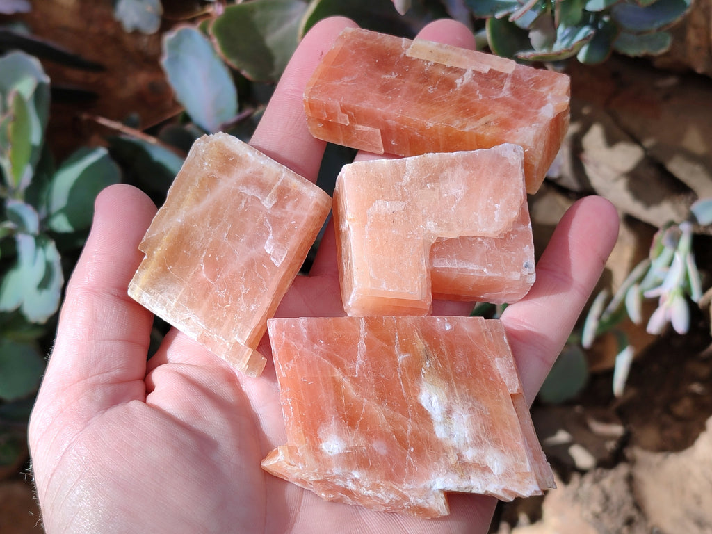 Natural Rhombohedral Sunset Orange Calcite Specimens x 24 From Spitzkop, Namibia - Toprock Gemstones and Minerals 