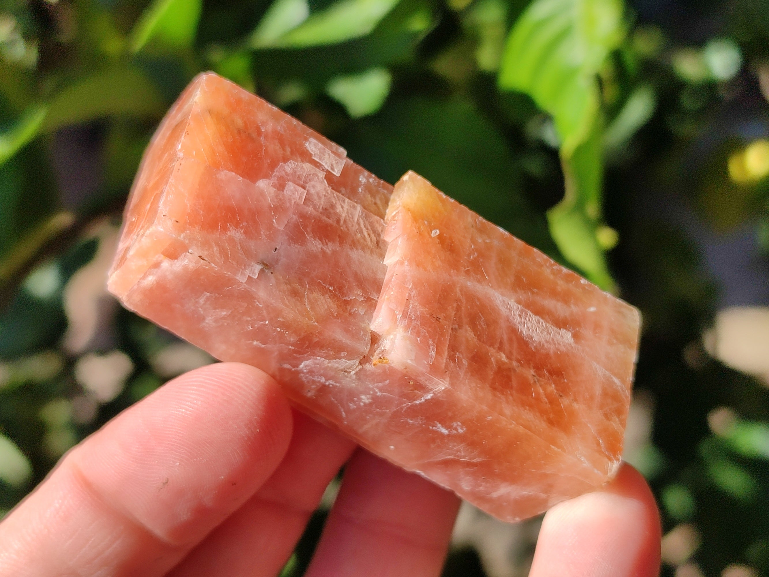 Natural Rhombohedral Sunset Orange Calcite Specimens x 24 From Spitzkop, Namibia - Toprock Gemstones and Minerals 