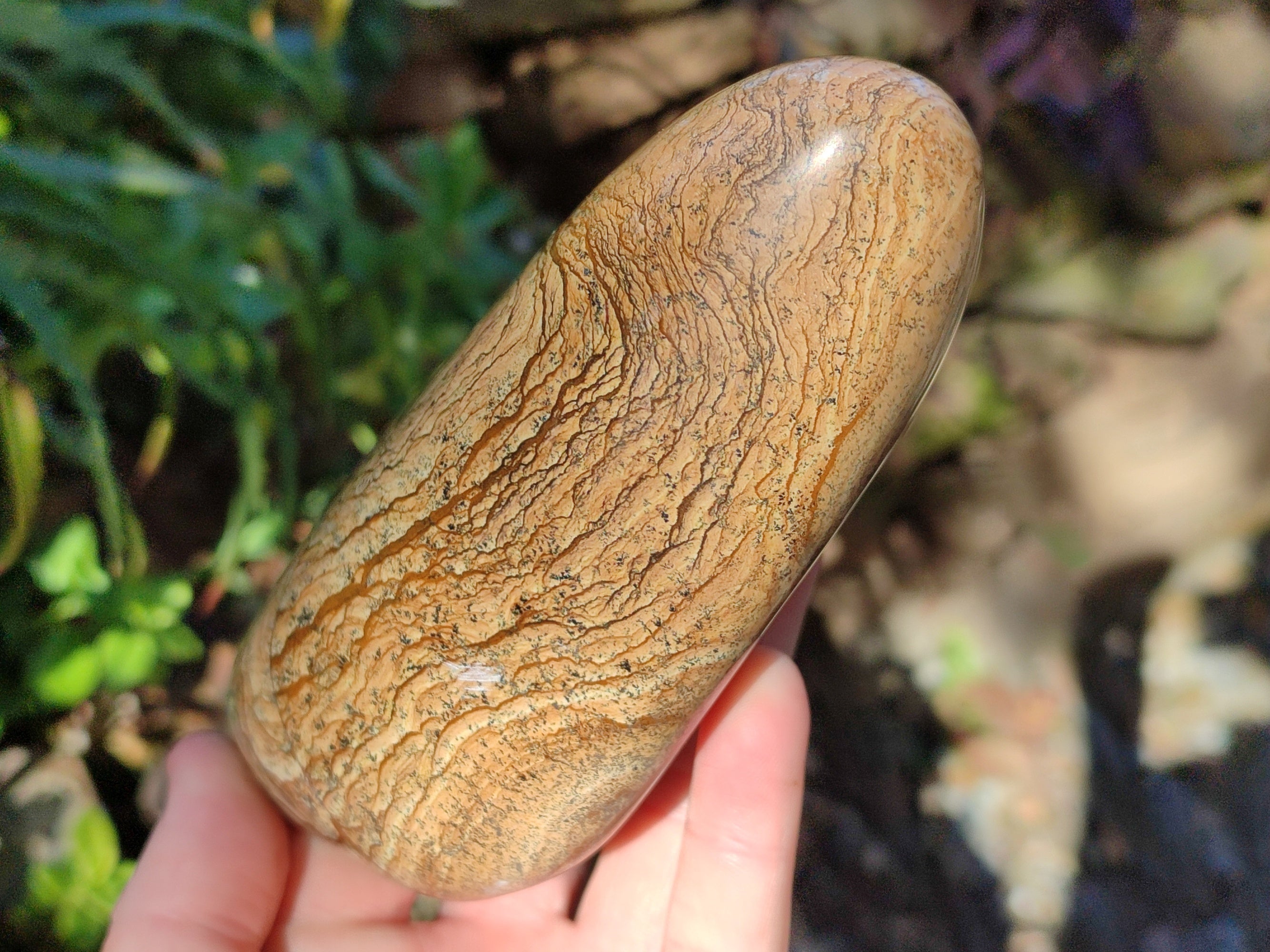 Polished Picture Stone Jasper Standing Free Forms x 2 From Ais-Ais, Namibia - Toprock Gemstones and Minerals 