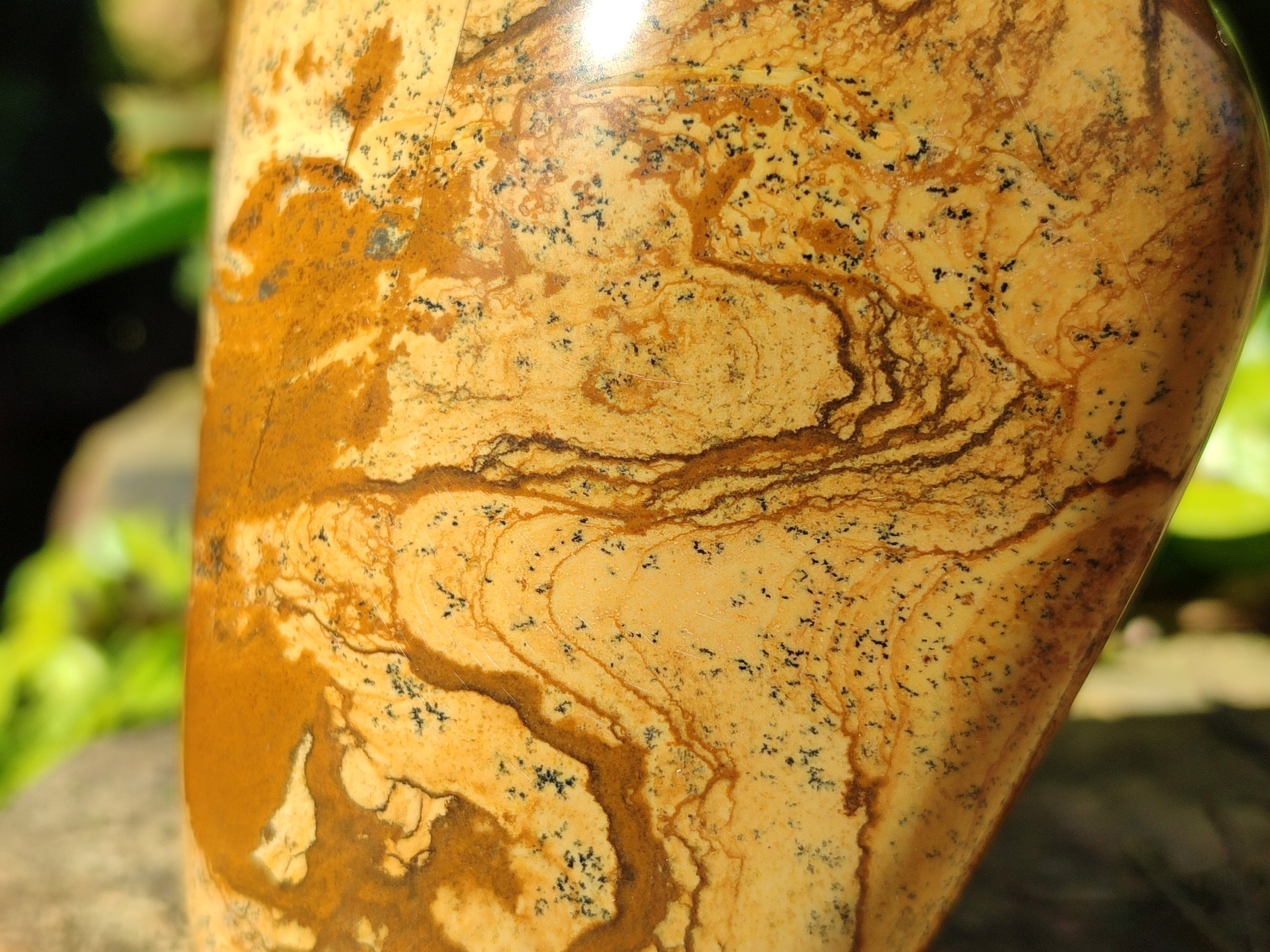 Polished Picture Stone Jasper Standing Free Forms x 2 From Ais-Ais, Namibia - Toprock Gemstones and Minerals 