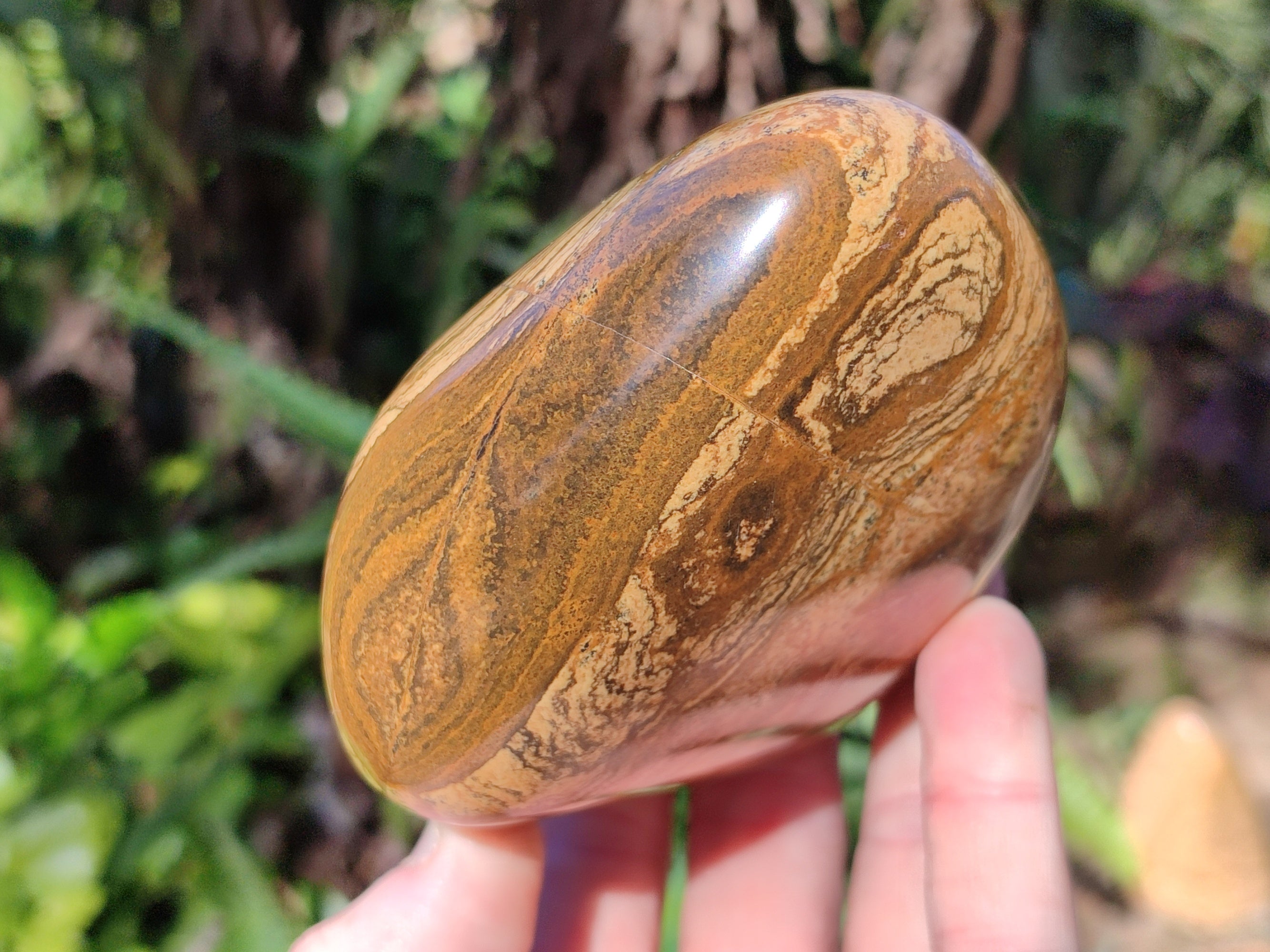 Polished Picture Stone Jasper Standing Free Forms x 2 From Ais-Ais, Namibia - Toprock Gemstones and Minerals 