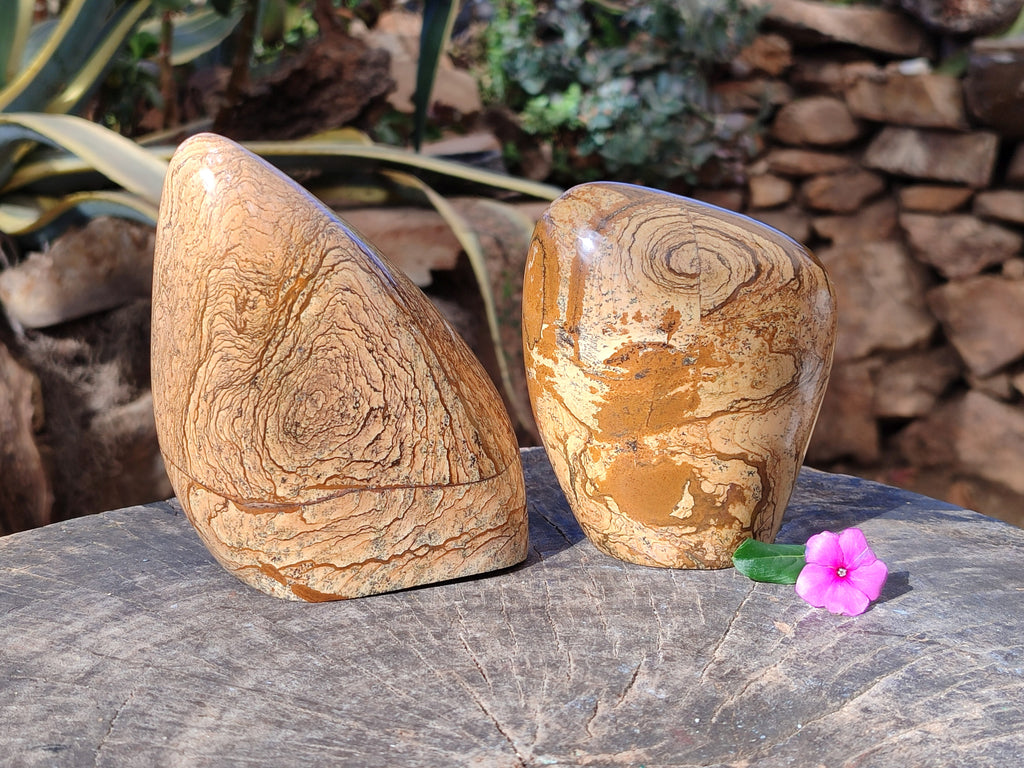 Polished Picture Stone Jasper Standing Free Forms x 2 From Ais-Ais, Namibia - Toprock Gemstones and Minerals 
