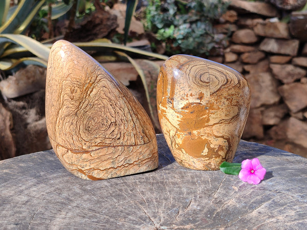 Polished Picture Stone Jasper Standing Free Forms x 2 From Ais-Ais, Namibia