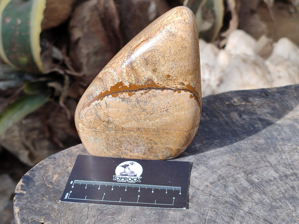 Polished Picture Stone Jasper Standing Free Forms x 2 From Ais-Ais, Namibia - Toprock Gemstones and Minerals 