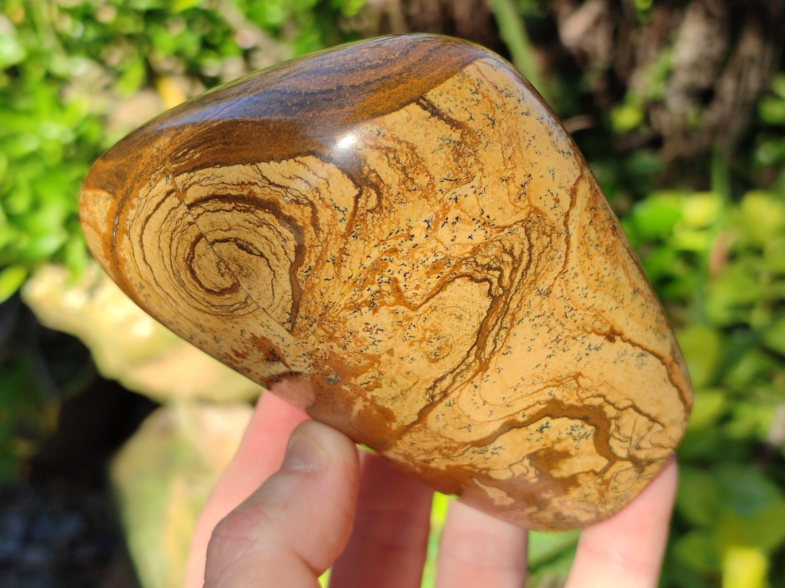 Polished Picture Stone Jasper Standing Free Forms x 2 From Ais-Ais, Namibia - Toprock Gemstones and Minerals 