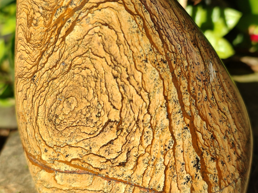 Polished Picture Stone Jasper Standing Free Forms x 2 From Ais-Ais, Namibia - Toprock Gemstones and Minerals 