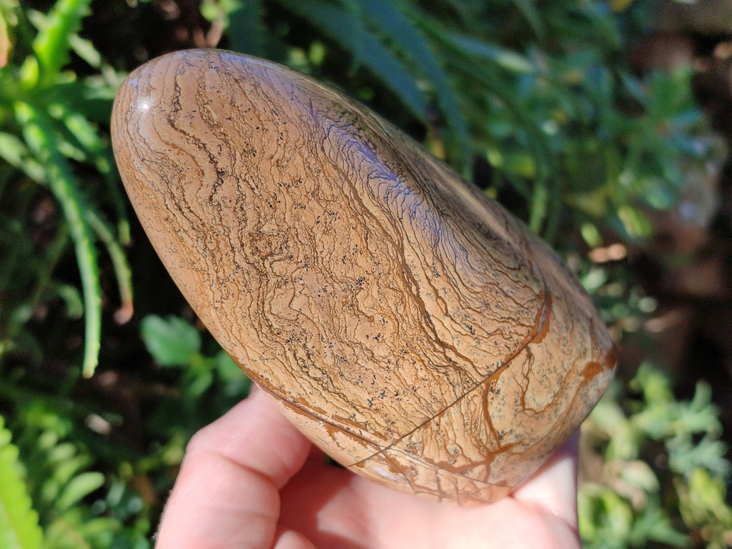 Polished Picture Stone Jasper Standing Free Forms x 2 From Ais-Ais, Namibia - Toprock Gemstones and Minerals 