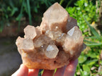 Natural Smokey Phantom Quartz Cluster x 3 From Luena, Congo - Toprock Gemstones and Minerals 
